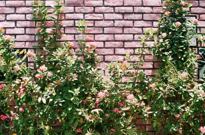 Best Rendered Garden Wall Designs for Houses